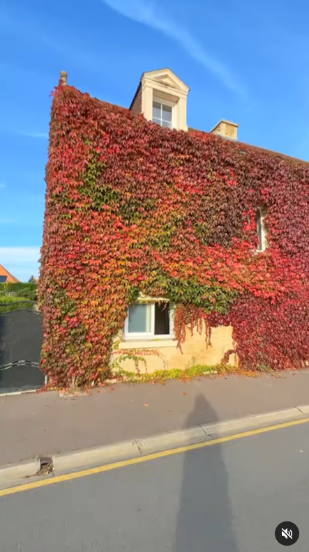Charmante maison en pierre de 133 m² avec cour privative, à 15 mn de CAEN et 5 minutes de OUISTREHAM !😍