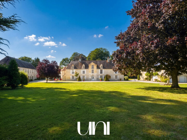Magnifique château de 400 m2 avec dépendances de 400 m2 chacune sur domaine de 6 hectares - SAINT MANVIEU NORR