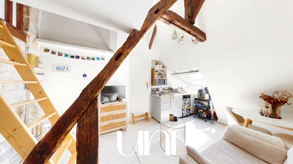 Charmant studio 26m2 (17m2 Carrez) face au Château de Caen