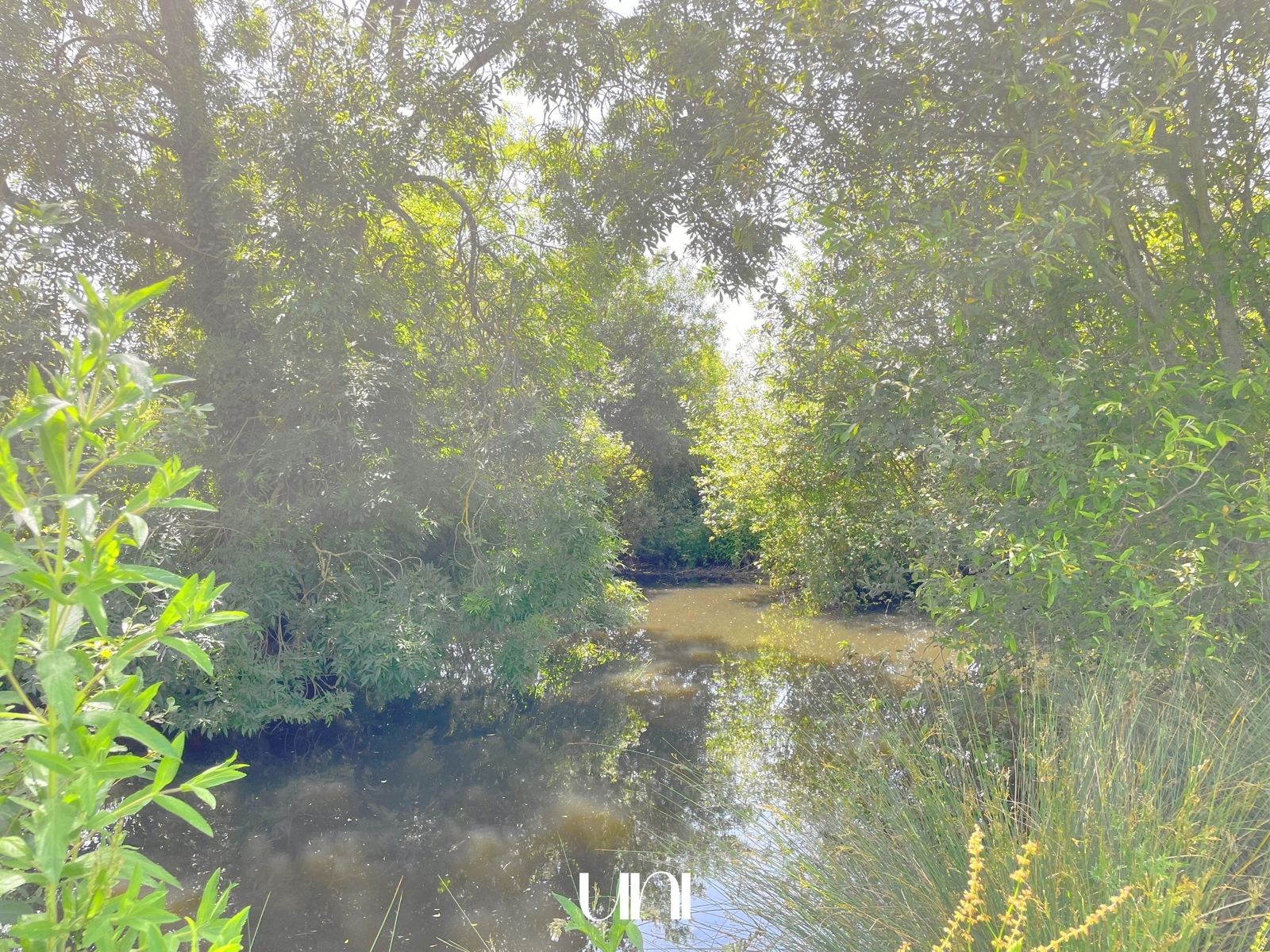 Ancien pressoir en Colombages à rénover