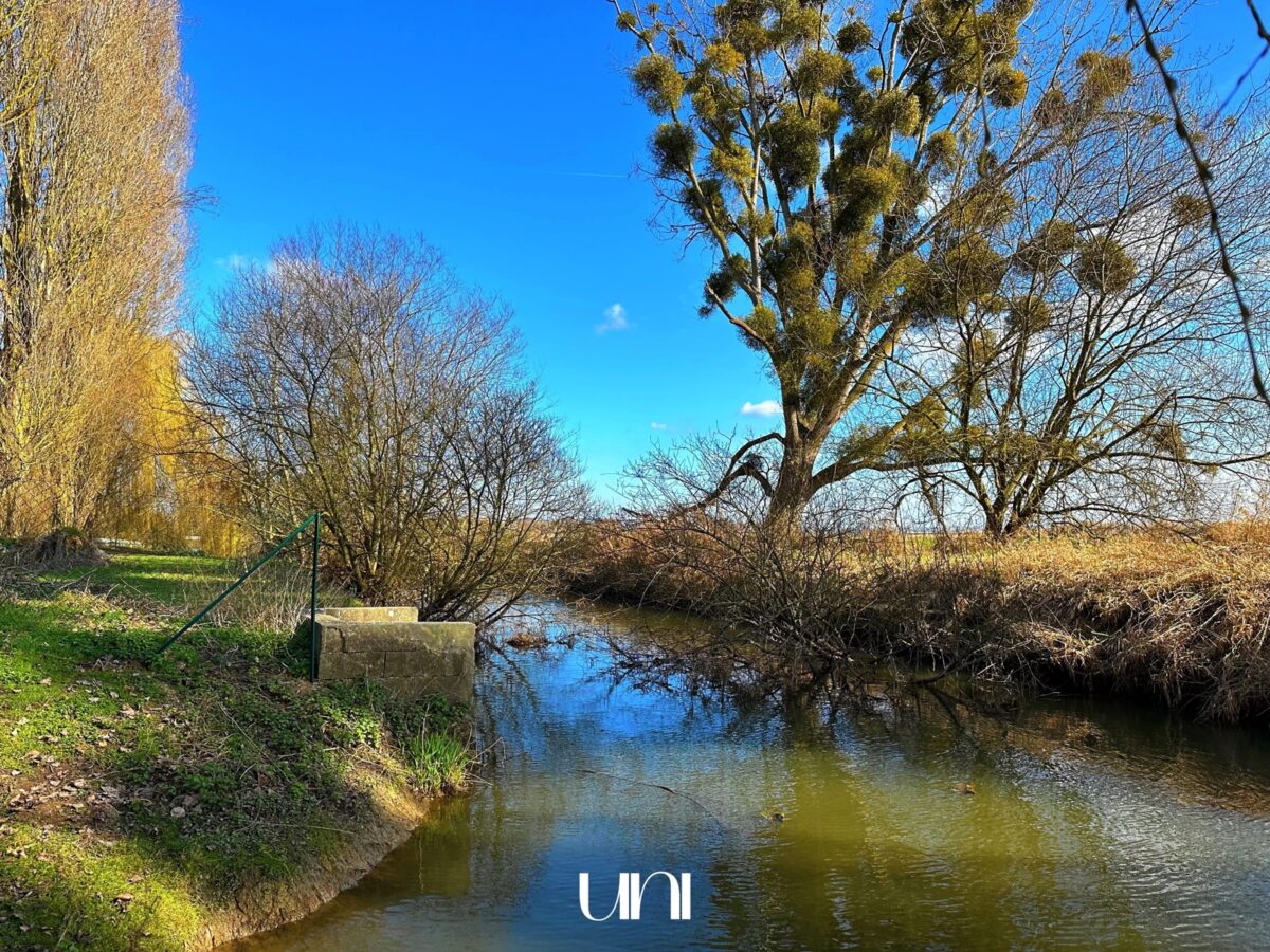 Maison 6 pièces 175m2 sur 1475m2