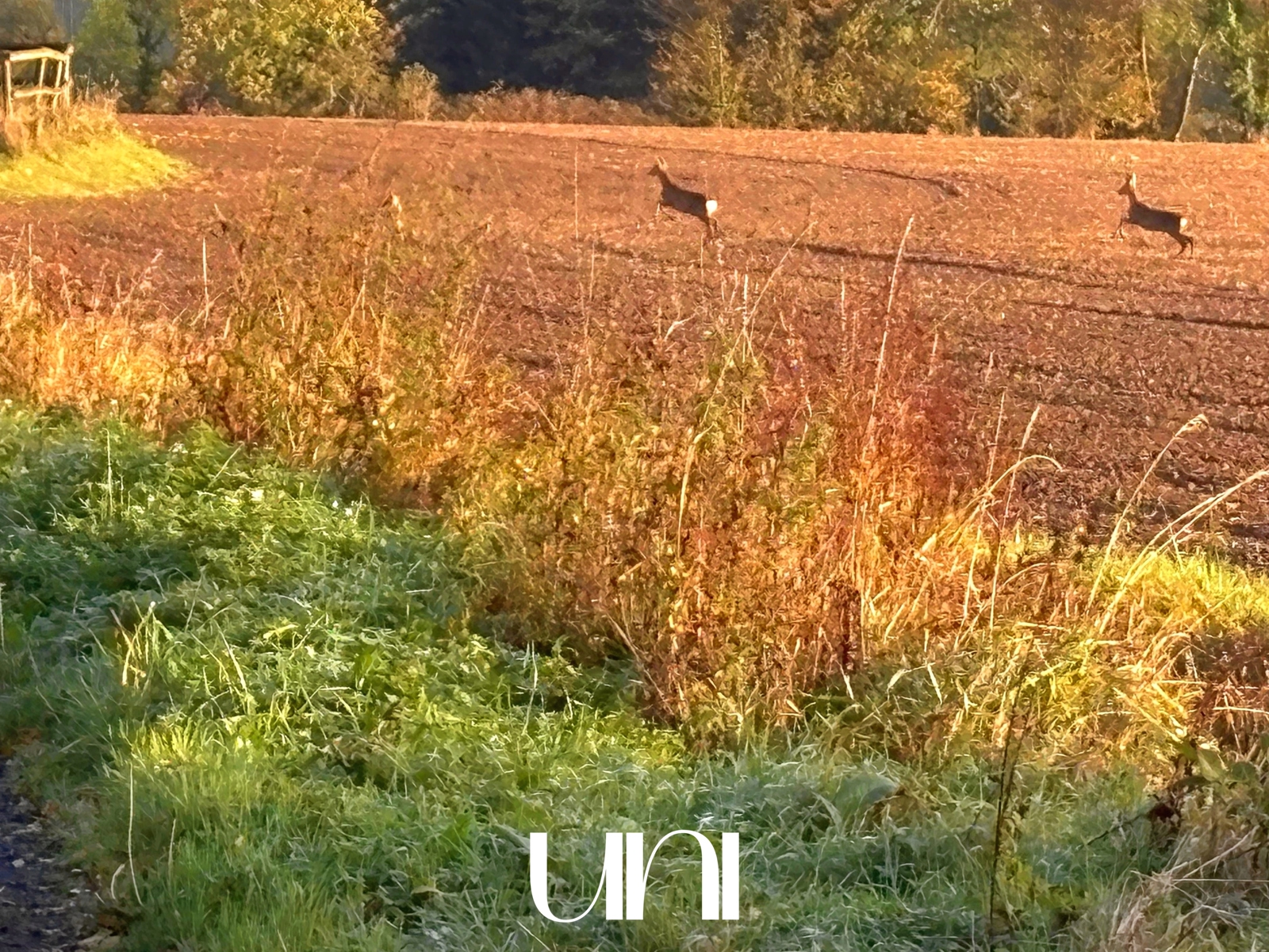 Terrain constructible de 710 m2 - BAVENT