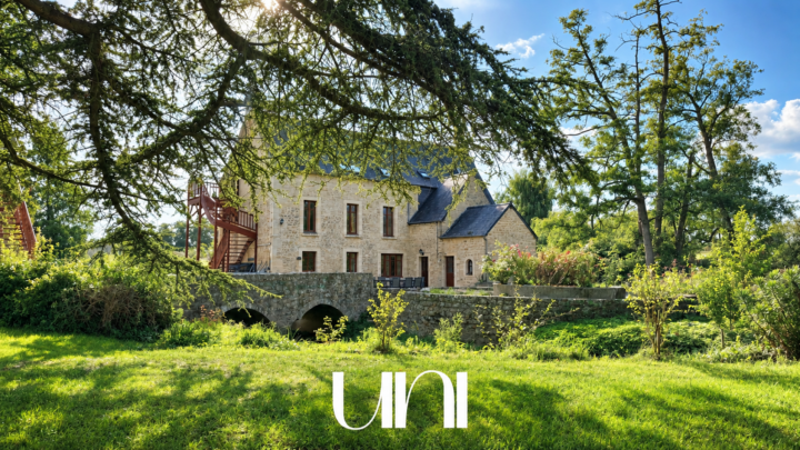 Ensemble immobilier de 6 gîtes - VAUCELLES
