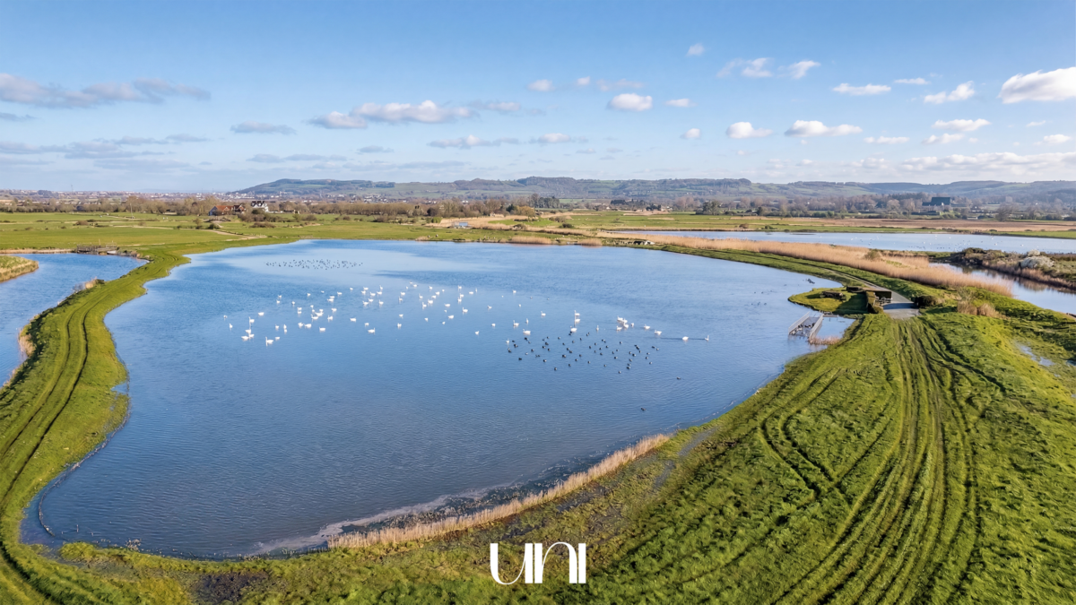 Ensemble de deux gabions à Varaville