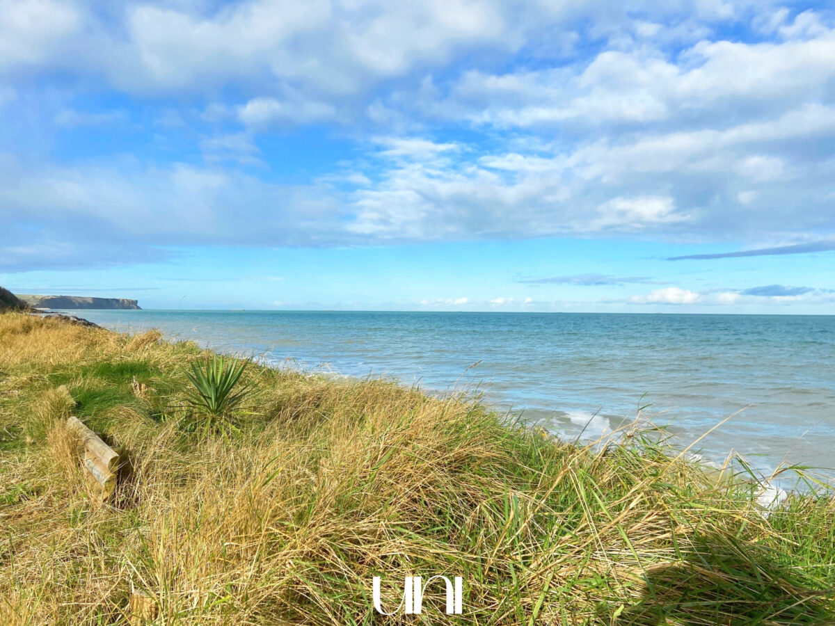 Murs commerciaux de 54 m2