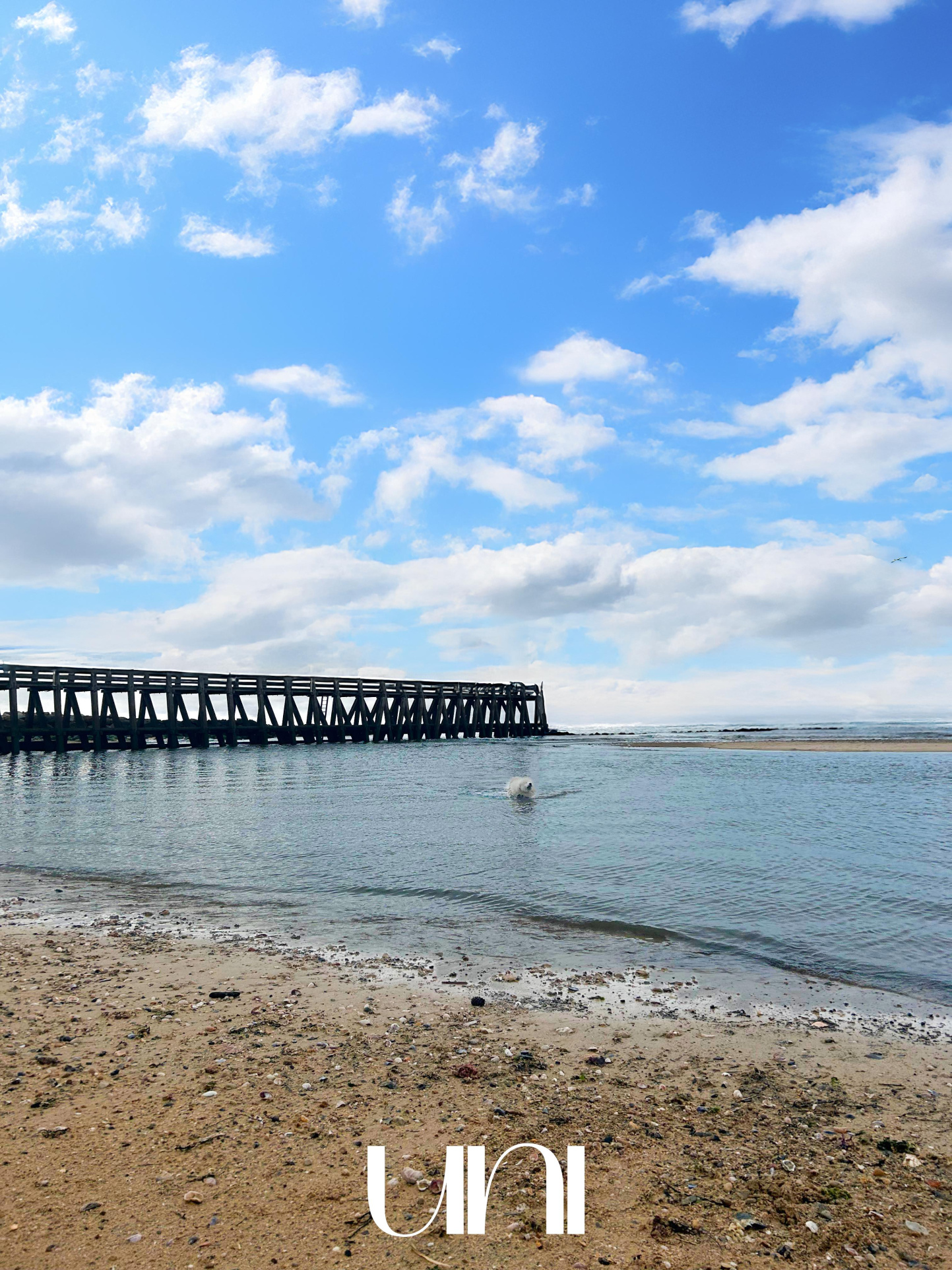 Appartement T1 de 29 m2