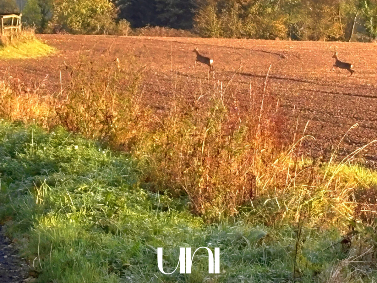 Terrain constructible de 710 m2 - BAVENT