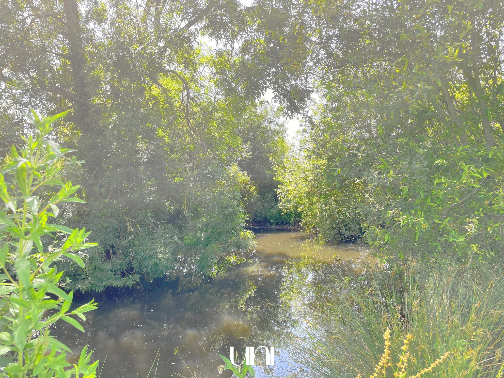 Ancien pressoir en Colombages à rénover