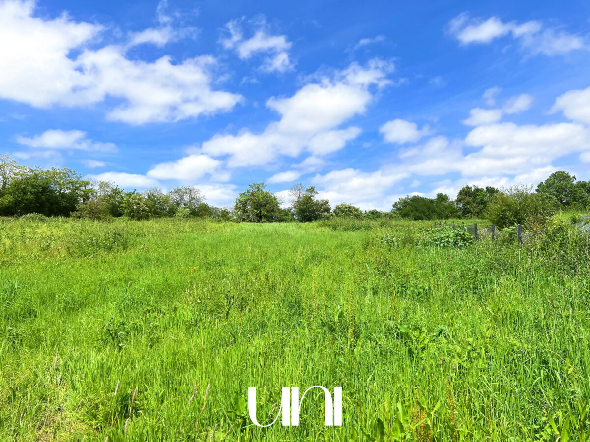 Terrain de 7337m2 à Périers-en-Auge