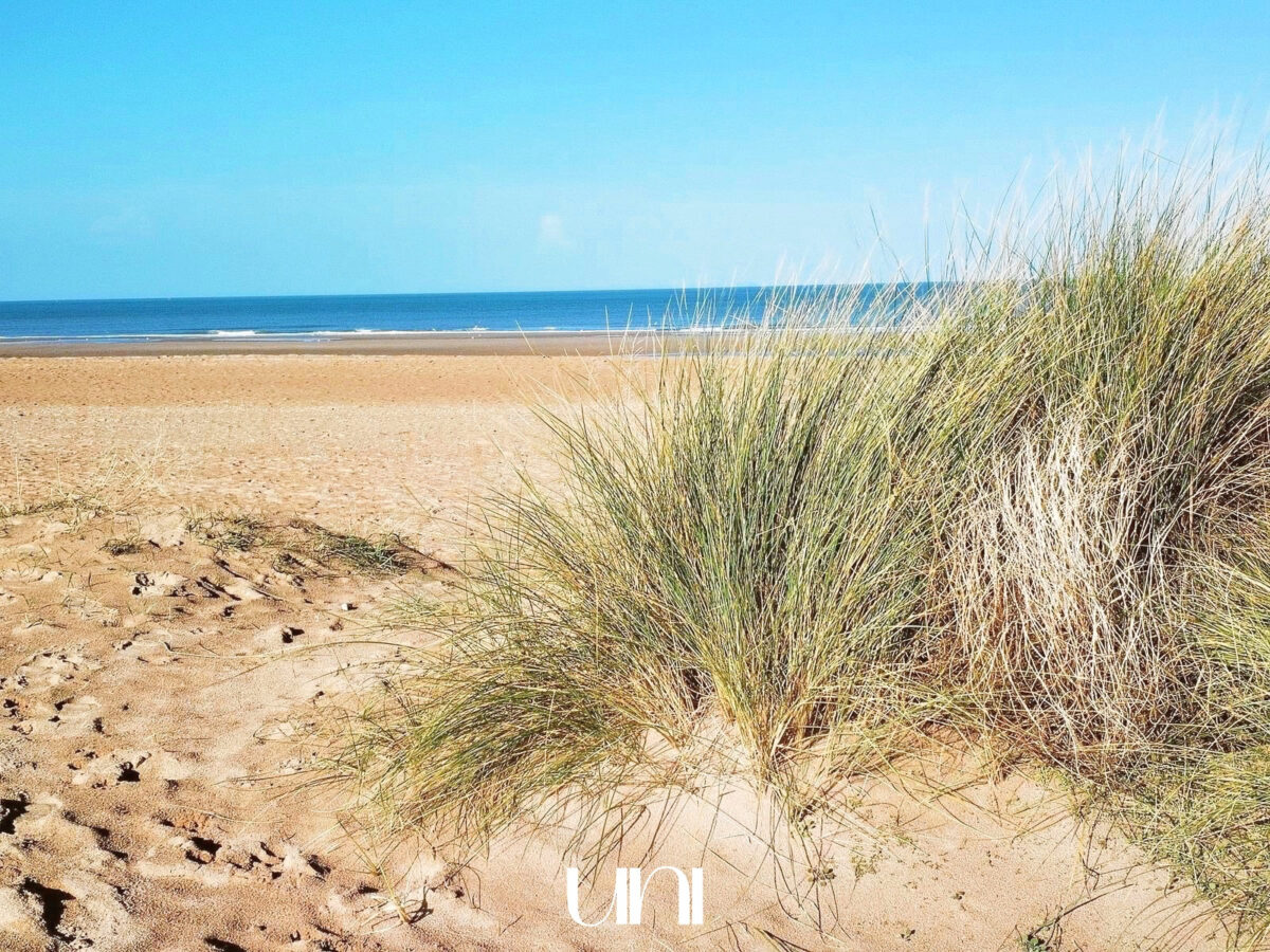 Maison T5 de 120m2 sur un terrain de 700m2 avec sous-sol complet