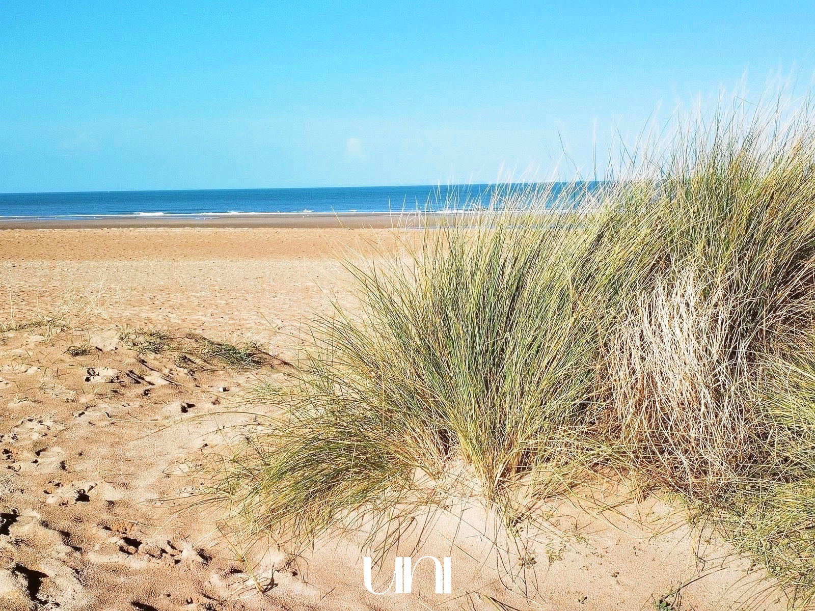 Maison T5 de 120m2 sur un terrain de 700m2 avec sous-sol complet